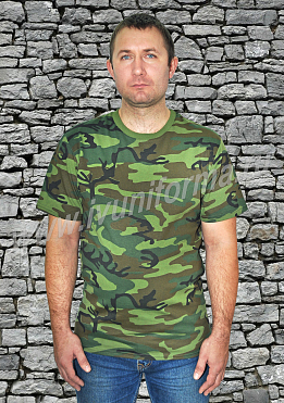 Футболка мужская арт. ТР-14-05-ТР